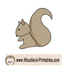 Free Squirrel Clipart