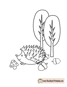 Adorable Hedgehog Coloring Page