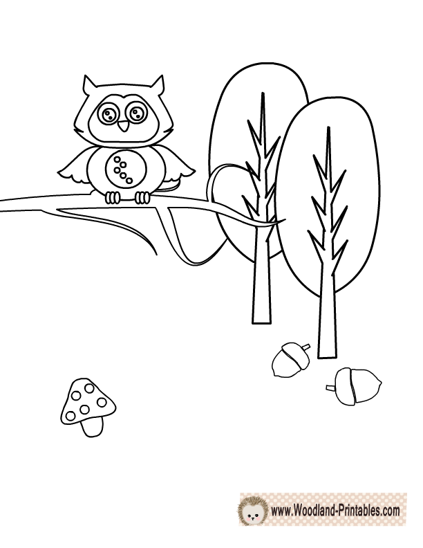 woodland-animals-coloring-page-coloring-home