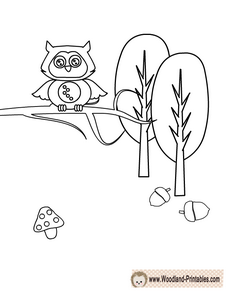 Cute Owl Coloring Page