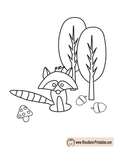 Free Printable Raccoon Coloring Page