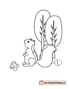 Free Printable Skunk Coloring Page