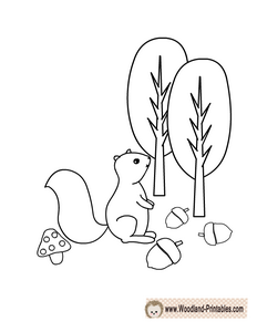 Free Printable Squirrel Coloring Page