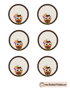 Free Printable Owl Cupcake Toppers